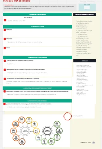 Perfil de la idea de negocio