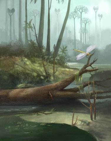 Carboniferous 280-345 ma