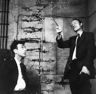 Biología- Genética