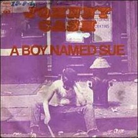 Shel Silverstein wrote the song "A Boy Named Sue"