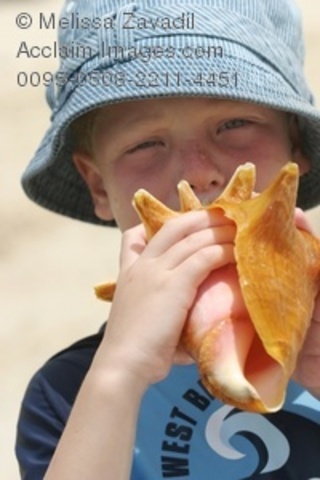 conch shell