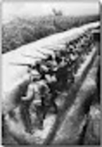 Japan declares war on Germany