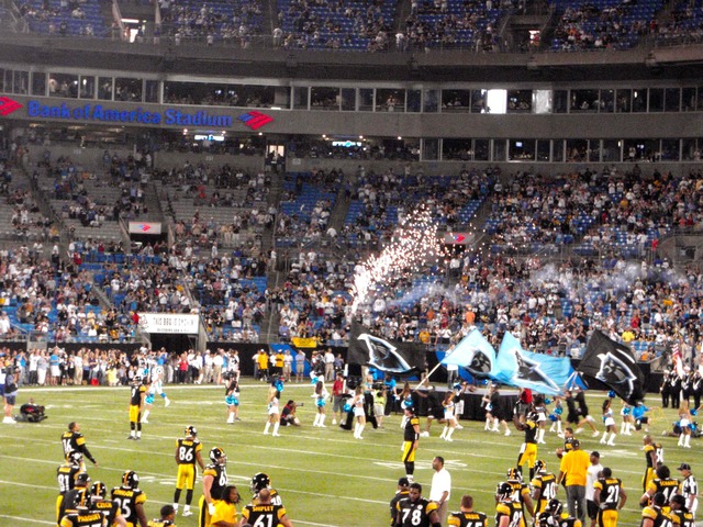 Panthers Game