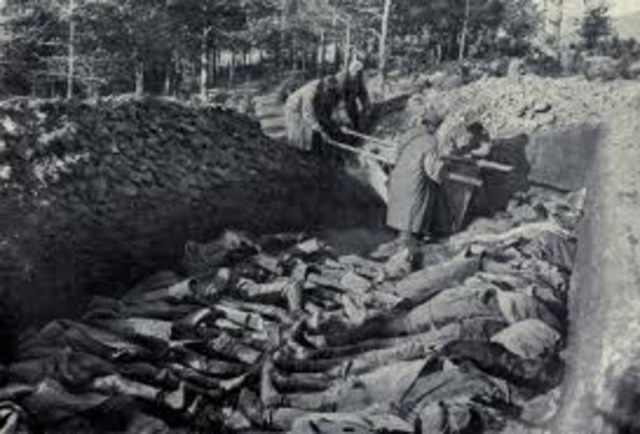 Austrians, With German Assistance Counter the Russians at the Battle of Limanowa