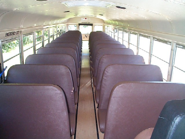 School Bus 2:30pm-3:00pm