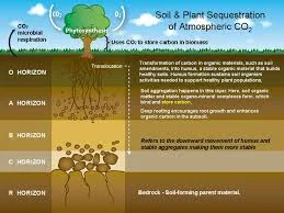 Soil System