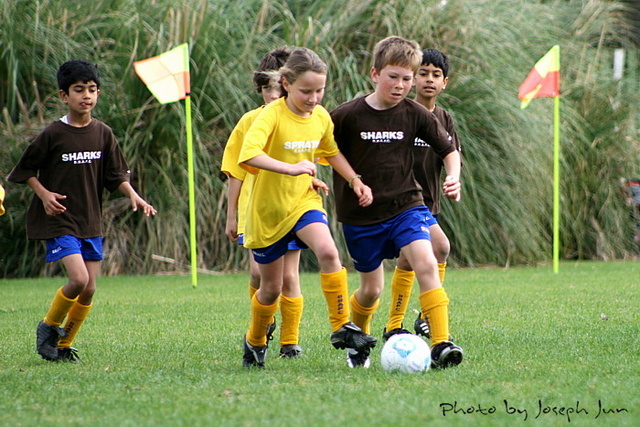 First year of Soccer