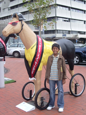 Arrival in New Zealand