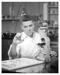 Discovery of Teratocarcinomas and Embryonal Carcinoma Cells