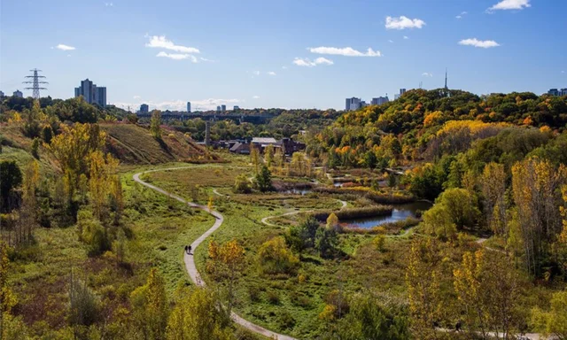 Rosedale Ravine meetings begin