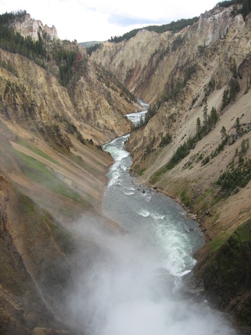 Yellow stone vaction