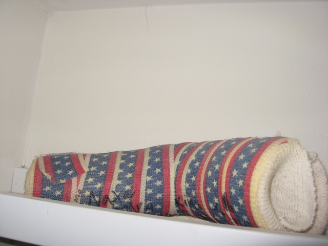 brother fell out of a tree