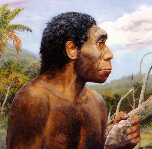 Homo erectus, primer homínido en migrar fuera del continente.