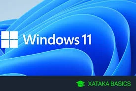 Windows 11