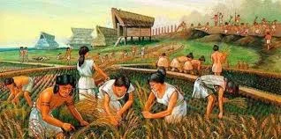 Periodo Agrícola (7000-2000 a.c)