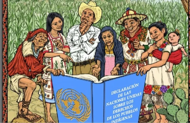 Declaración de las Naciones Unidas sobre los Derechos de los Pueblos Indígenas