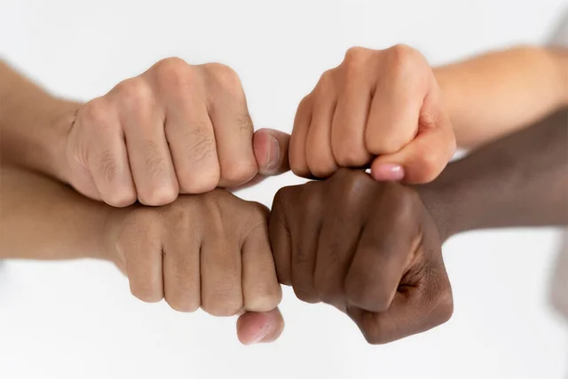 Resolución sobre derechos humanos y el racismo