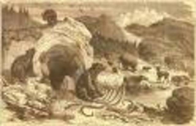 Quaternary 1 MYA-Present