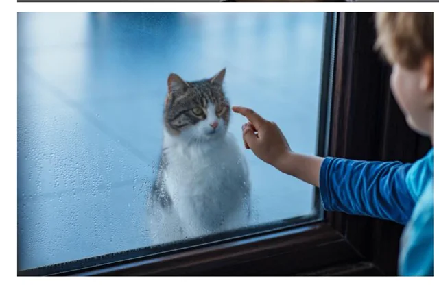 Content:Semantics: (20 Months) Word Mapping