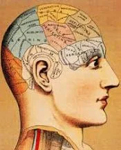 Psicología organicista e integración