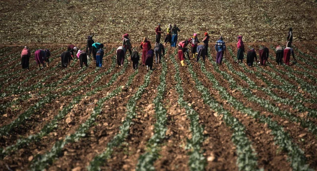 3. The jobs that they can participate