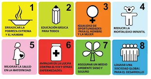 Se establecen los Objetivos de Desarrollo del Milenio de la ONU