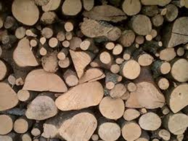 Napoleon Sells woodpile chp 8