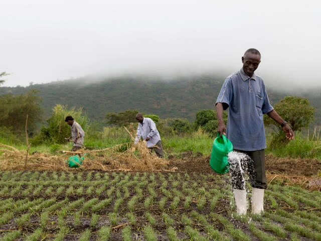 agriculture