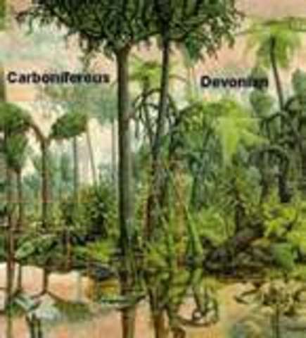 Carboniferous