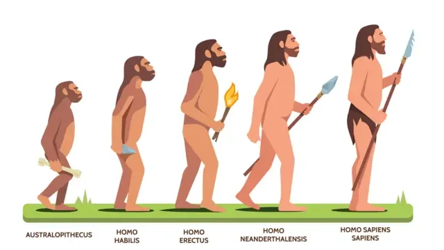 Estructura Social del Paleolìtico