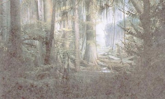 Carboniferous 345-280 MYA