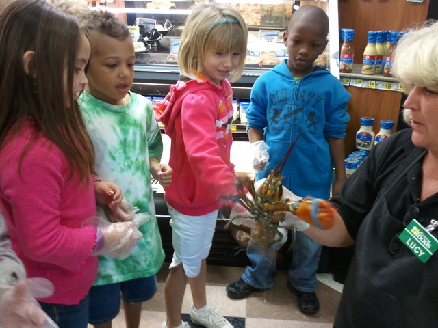 Field trip to Lowe's Foods and Petco!