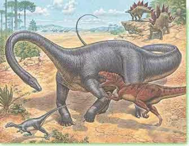 Jurassic 195-136 MYA