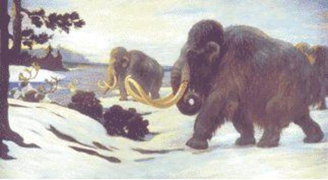 Quaternary 1.8 MYA - present