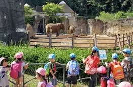 Use: Pragmatics: (48 Months) Events from the past, present, or the future.