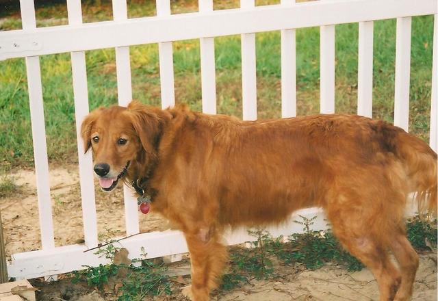 I still have my looks