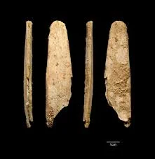 Paleolítico medio (Neanderthales)