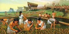 Primeras sociedades agrícolas