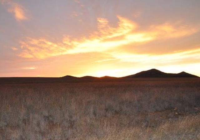 My Mom moved to Oklahoma