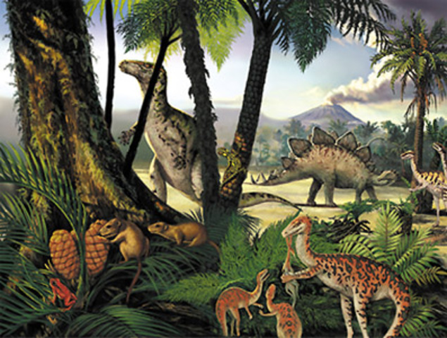 Jurassic Period: 195-136 MYA