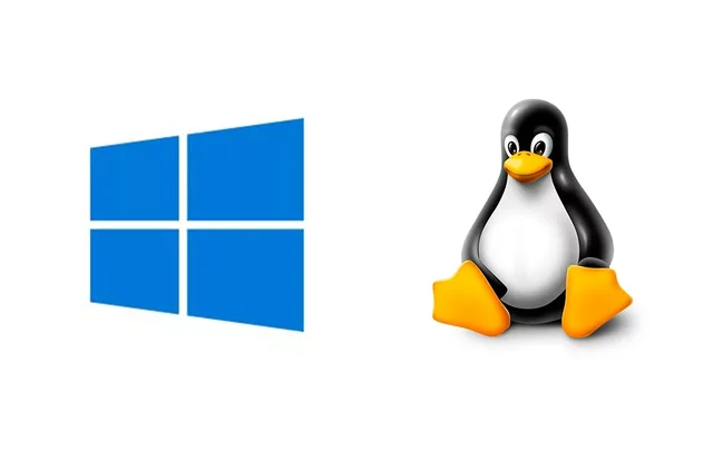 Windows и Linux