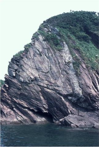 Carboniferous 345-280 MYA