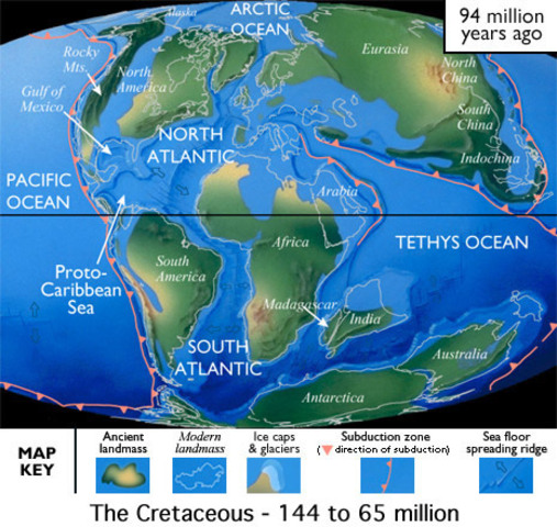 Cretaceous Period: 136-65 MYA