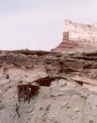 Triassic 225-195 MYA