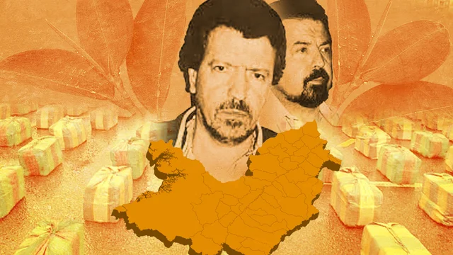 Auge de los carteles de droga (Medellín y Cali)