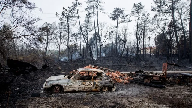 Incendios forestales en Galicia y Asturias (2017)