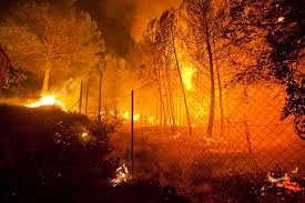 Incendios forestales