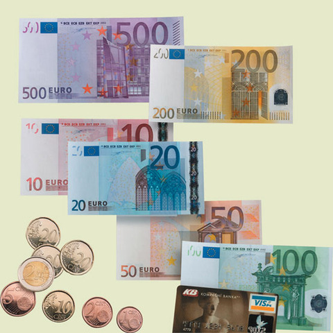 Entra en vigor el Euro