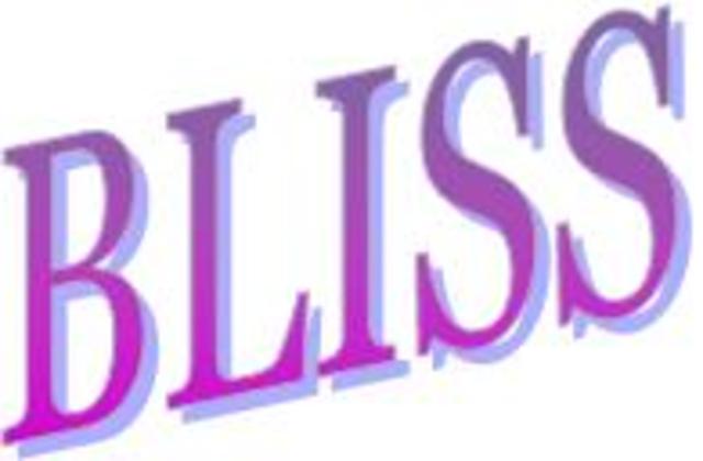 BLISS: Blended Learning Intensives begin