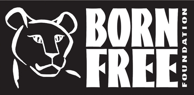 US Investment Markets Born